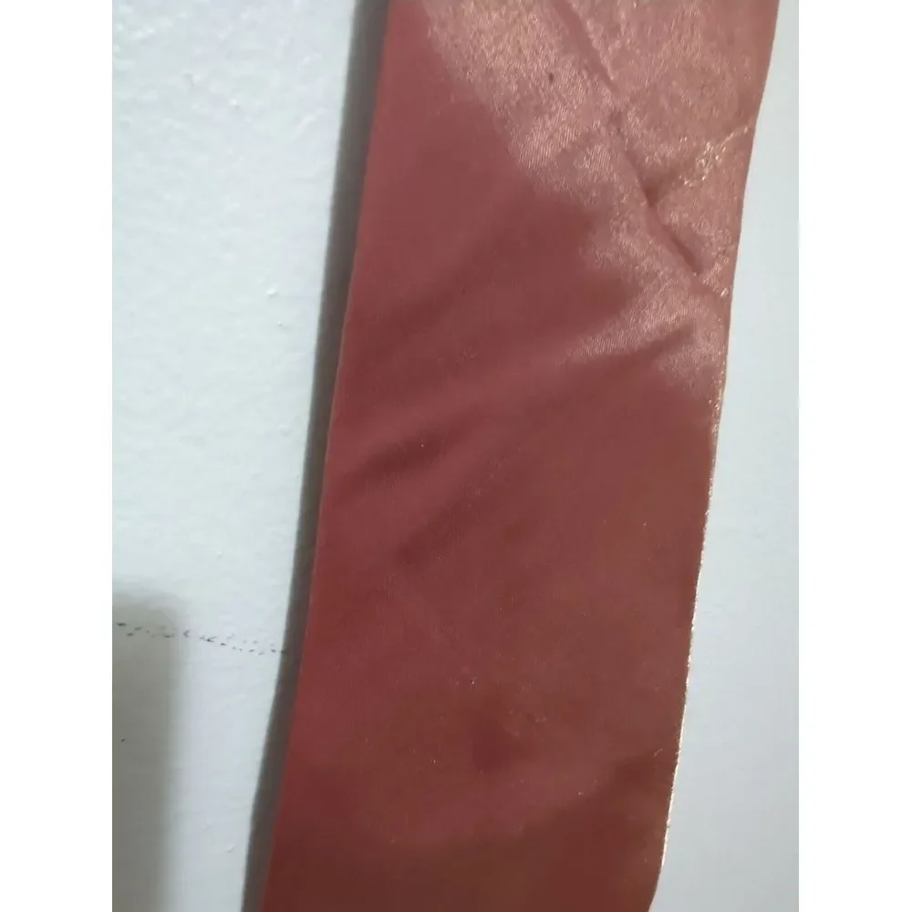 Gino Fabrini Mens Rust Orange Shimmer Solid‎ Necktie Rayon Blend Formal Tie